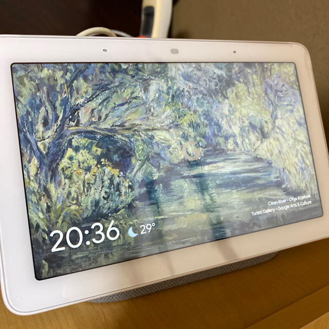 Google Nest Hub チョーク