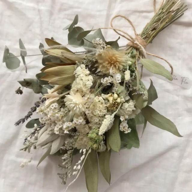 ユーカリとフィリカのネイティブ スワッグ 30cm ドライフラワーの通販 By Stella Flor ラクマ ユーカリとフィリカのネイティブ スワッグ 30cm ドライフラワーの通販 By Stella Flor ラクマ