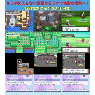 スーパーセール ポケットモンスター プラチナ 配信ポケモンあり 最強データ 携帯用ゲームソフト Oceanrepublicbrewing Com