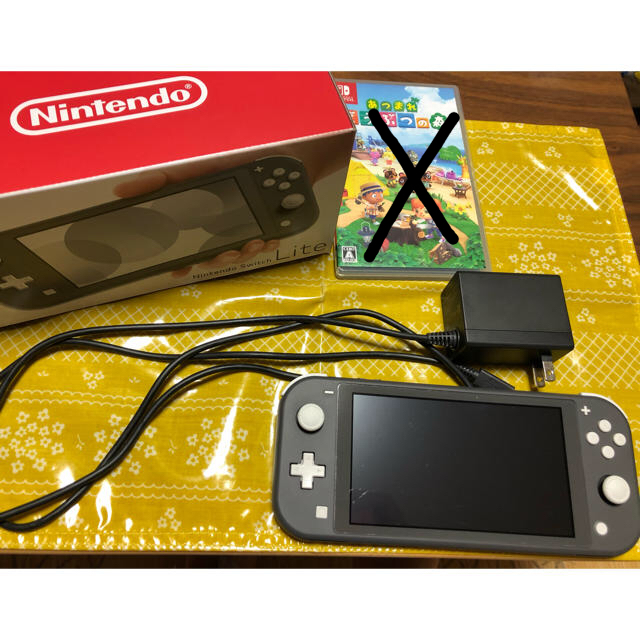 Switch Liteグレー　充電器　セット家庭用ゲーム機本体