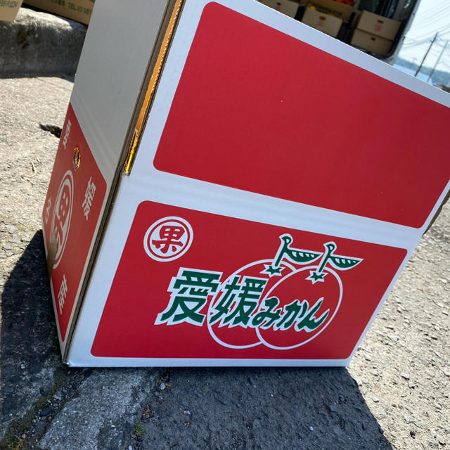 大玉　宇和ゴールド　7Kg  河内晩柑　愛媛　みかん 食品/飲料/酒の食品(フルーツ)の商品写真