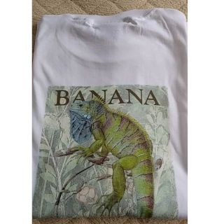 バナナリパブリック(Banana Republic)の【新品レア物】Banana Republic イグアナプリントTシャツ ※タグ付(Tシャツ/カットソー(半袖/袖なし))