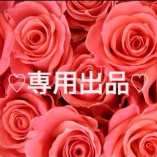 なあちゃん様★専用(その他)
