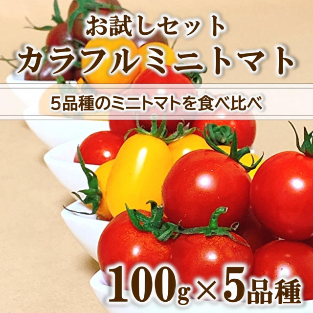 【お試しセット】カラフルミニトマト 100g×5品種 無農薬 高糖度 食べ比べ 食品/飲料/酒の食品(野菜)の商品写真