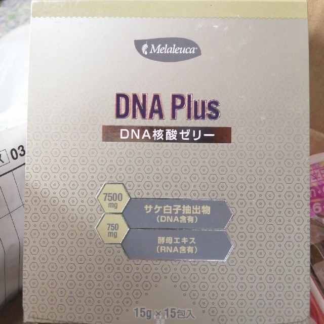 メラルーカ☆DNA Plus☆DNA核酸ゼリーの通販 by HACHI's shop｜ラクマ