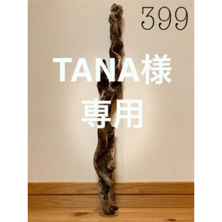 流木【399.795】(置物)