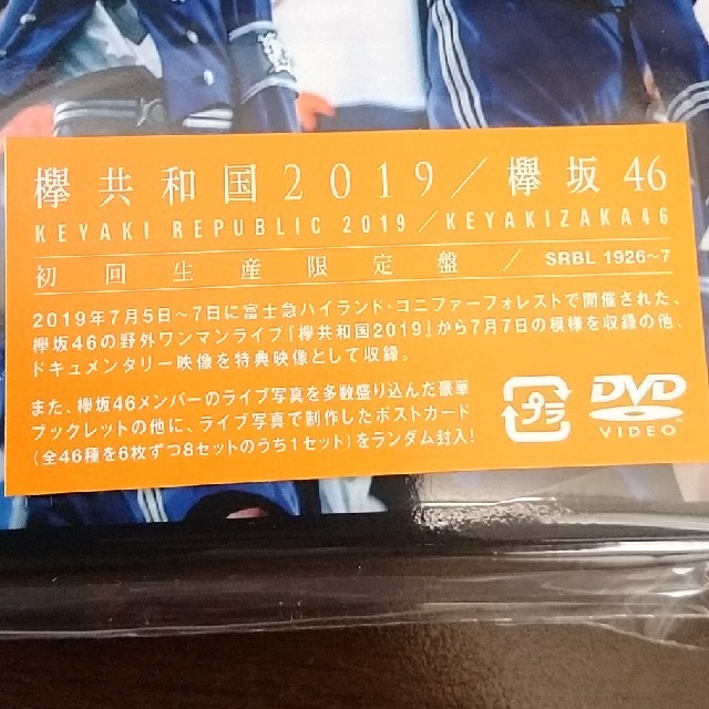 新品 欅共和国2019（初回生産限定盤） DVD