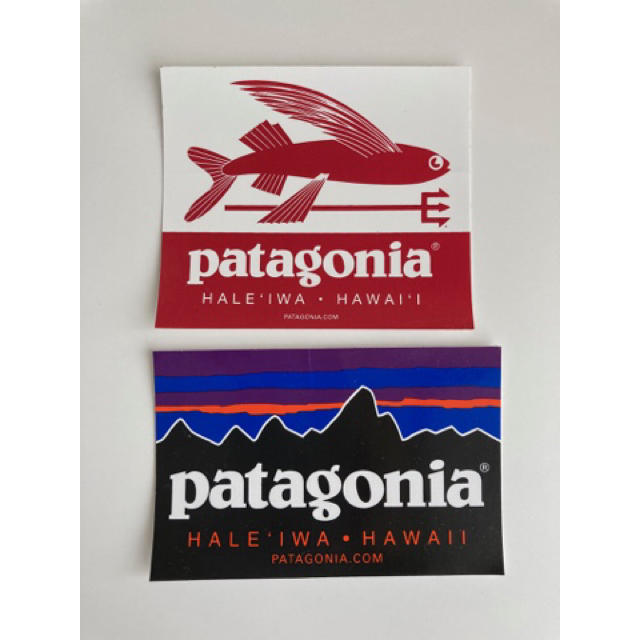 ハワイ　patagonia 水筒(タンブラー)　23oz