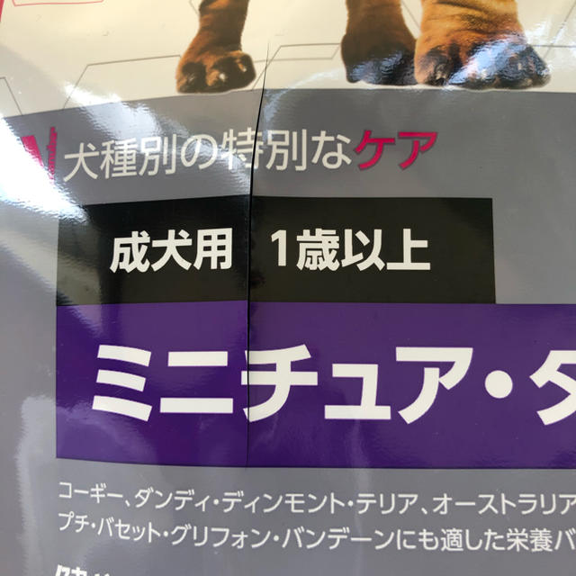 ROYAL CANIN - ちっくん様専用ユーカヌバ ミニチュア・ダックスフン 成