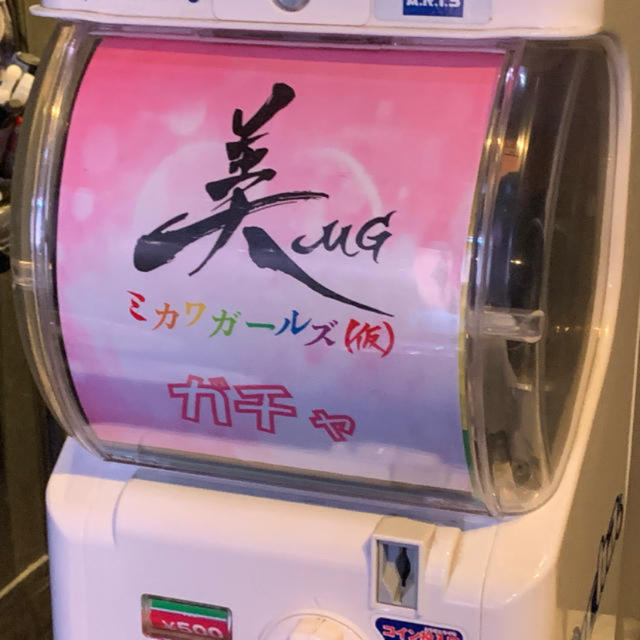 ミカワガールズ(仮)ガチャ 10回 エンタメ/ホビーのタレントグッズ(アイドルグッズ)の商品写真