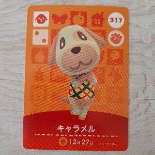 専用(シングルカード)