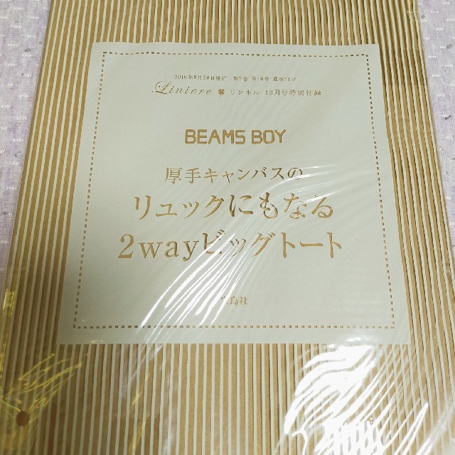 BEAMS BOY(ビームスボーイ)のリンネル 2016年 10月号【付録】  BEAMS BOY  ビッグトート レディースのバッグ(リュック/バックパック)の商品写真