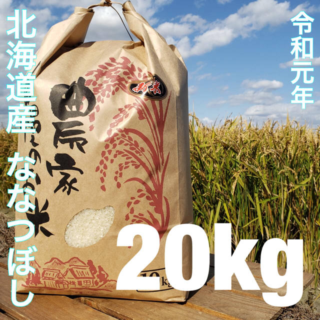 北海道　ななつぼし　令和元年度産　最高品質一等米　20キロ　米/穀物