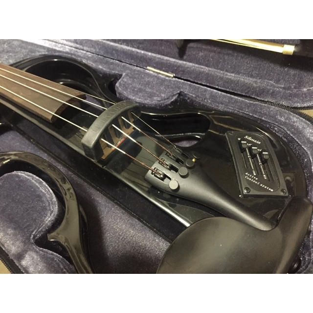 Carlo giordano エレキバイオリン 特販 弦楽器 tripkicks.com