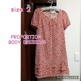 プロポーションボディドレッシング(PROPORTION BODY DRESSING)のサイズ2 細見えワンピース※プロフご覧下さい(ひざ丈ワンピース)