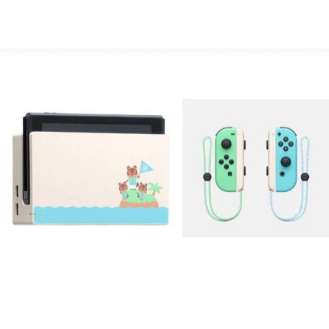 Switch あつまれどうぶつの森　ドック&ジョイコン セット