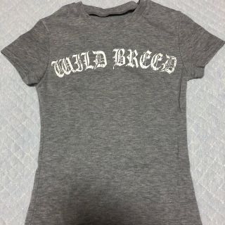 セシルマクビー(CECIL McBEE)のレディース　Tシャツ　セシルマクビー(Tシャツ(半袖/袖なし))