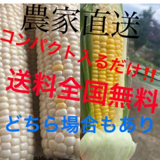 さるとび様専用品(野菜)