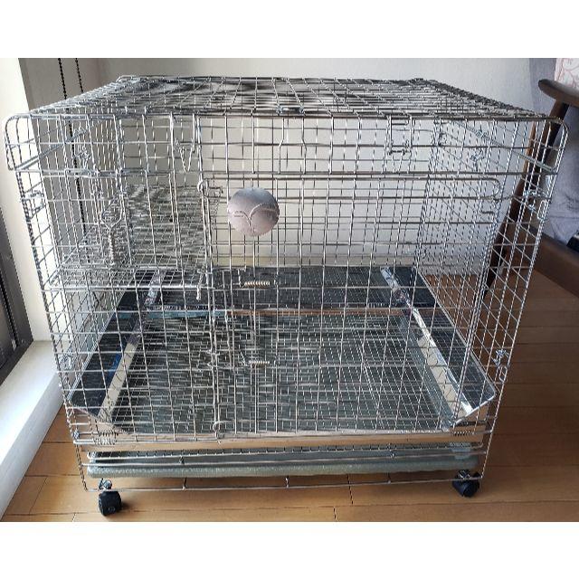 うさぎのしっぽ プロケージ60 うさぎのしっぽ プロケージ60