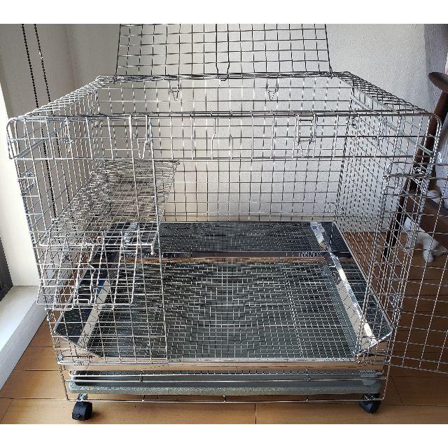 うさぎのしっぽ プロケージ60 うさぎのしっぽ プロケージ60