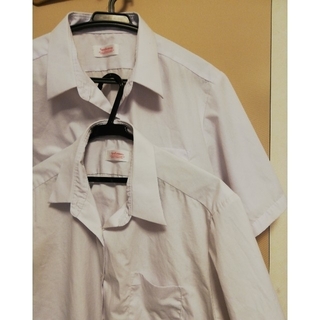zzz様専用　女子スクールワイシャツ　BＬＬ　２枚　半袖(シャツ/ブラウス(半袖/袖なし))