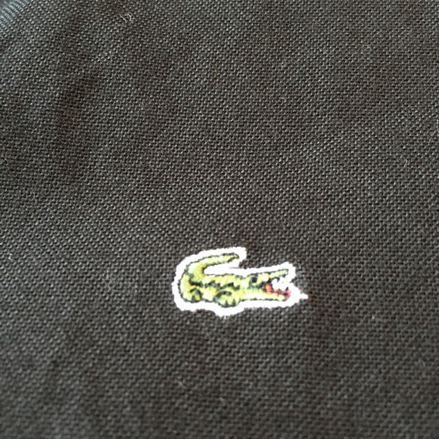 LACOSTE(ラコステ)のラコステ　シャツ　42 レディースのトップス(シャツ/ブラウス(半袖/袖なし))の商品写真