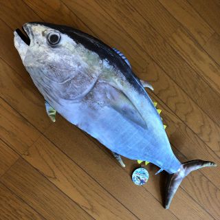 マグロぬいぐるみ（大）(ぬいぐるみ)