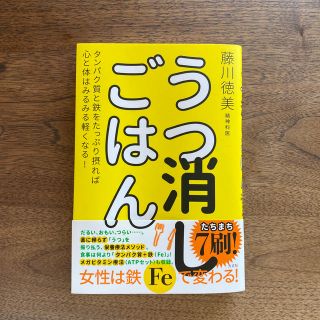 うつ消しごはん タンパク質と鉄をたっぷり摂れば心と体はみるみる軽く(健康/医学)