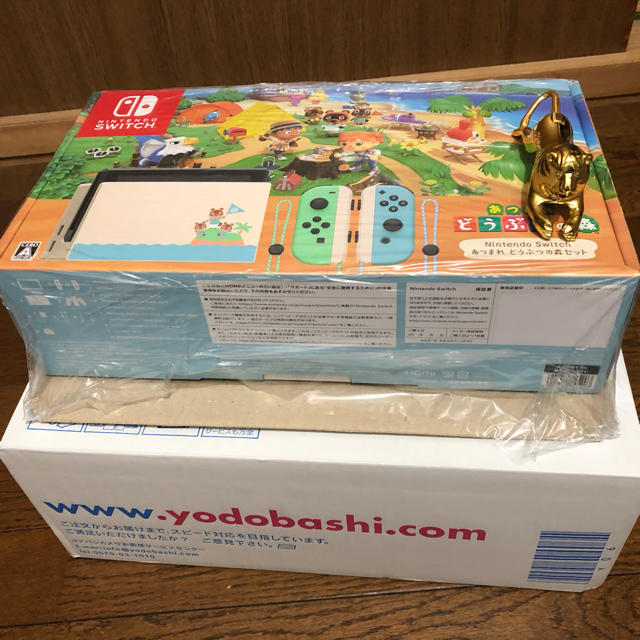 ニンテンドースイッチ　あつまれどうぶつの森 セット