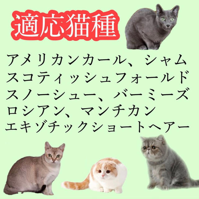 【ファーミネーター】猫 ブラシ 小型猫 短毛 S 抜け毛 ブラッシング くし