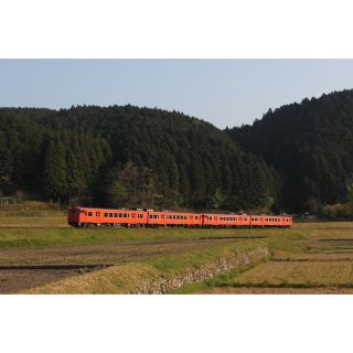 専用出品 キハ47(鉄道模型)