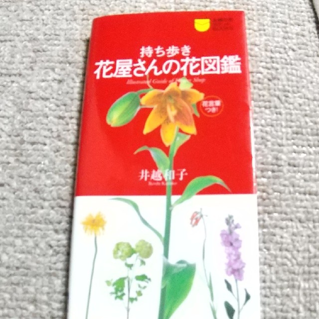 持ち歩き花屋さんの花図鑑 買いたい花の名前がすぐわかる 花言葉つき の通販 By V40shop ラクマ 持ち歩き花屋さんの花図鑑 買いたい花の名前がすぐわかる 花言葉つき の通販 By V40shop ラクマ