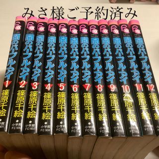 ショウガクカン(小学館)の闇のパ－プル・アイ 12巻、「海の闇月の影　全18巻」(少女漫画)