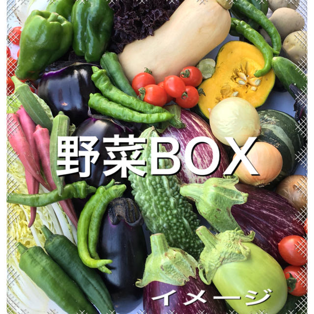 野菜BOX 2kg  食品/飲料/酒の食品(野菜)の商品写真