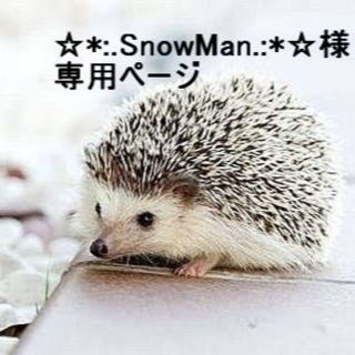 「☆*:.SnowMan.:*☆様 専用ページ」(その他)