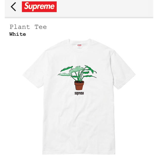 【送料無料】Supreme Plant Tee