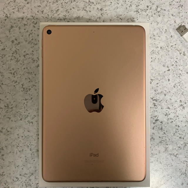 iPadmini64GB Retina 1