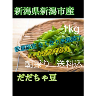 たぬきさんちの枝豆(新潟県産だだちゃ豆)1kg(野菜)