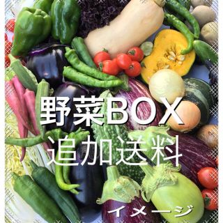 野菜BOX 追加送料(野菜)