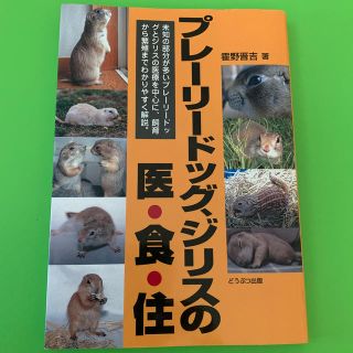 プレ－リ－ドッグ、ジリスの医・食・住(住まい/暮らし/子育て)