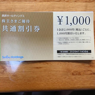 西武ホールディングス　株主優待　共通割引券　10枚(その他)