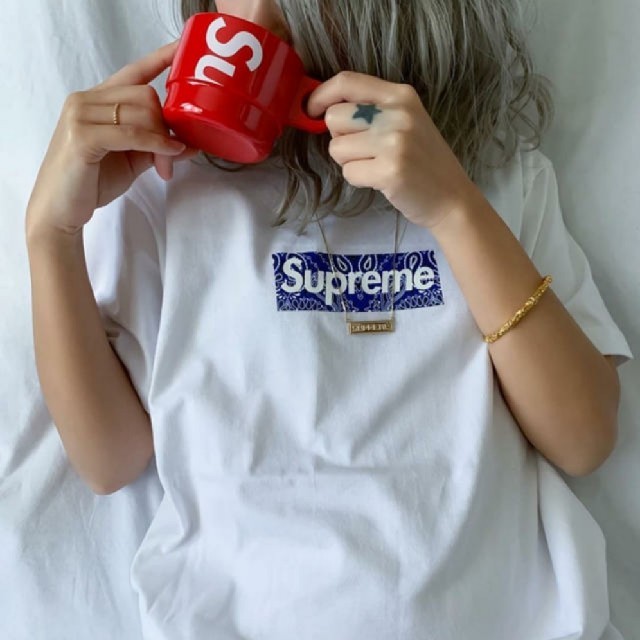 Supreme Bandana Box Logo tee　M ホワイト