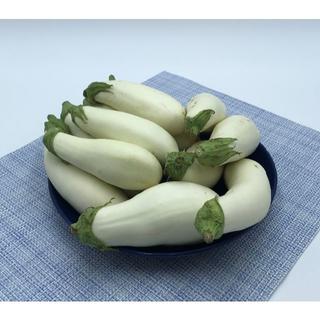 【クール便】新潟 伝統野菜 「 越後の白ナス 」 新鮮 詰合せ(野菜)