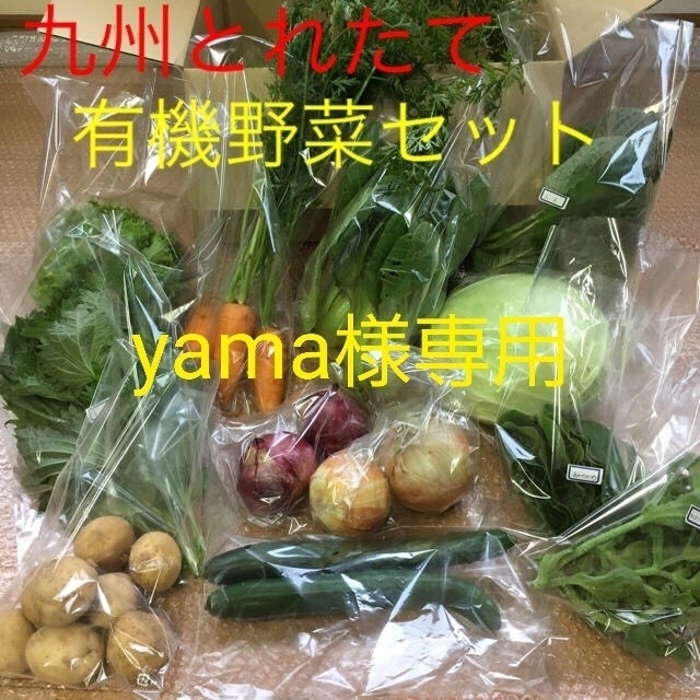 yama様専用　クール便 食品/飲料/酒の食品(野菜)の商品写真