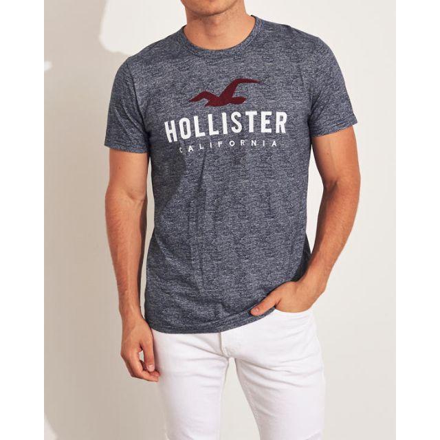 Hollister 半袖 クルーネック ロゴ バギー グラフィック Tシャツ Hollister - 新品【HOLLISTER】 ロゴグラフィックT L：日本XLの