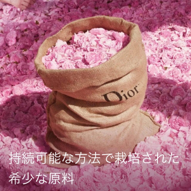 Dior(ディオール)のDior ミスディオール　ローズ&ローズ　50ml 香水　新品未使用 コスメ/美容の香水(香水(女性用))の商品写真