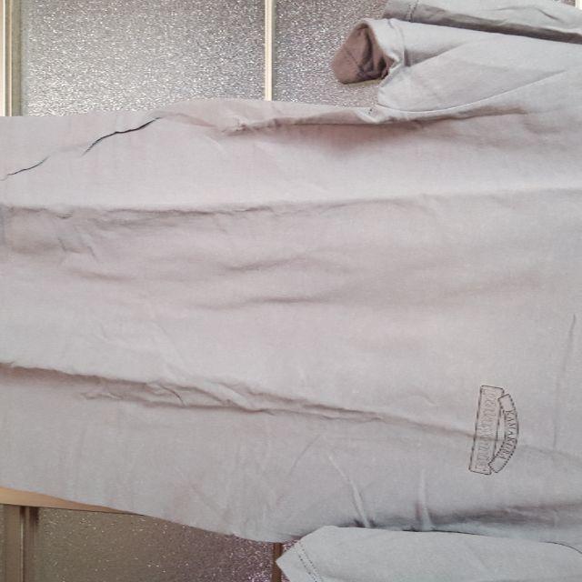 patagonia(パタゴニア)のパタゴニア ベネフィットTシャツ　北斎グレー メンズのトップス(Tシャツ/カットソー(半袖/袖なし))の商品写真
