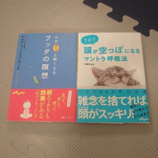 心がフッと軽くなるブッダの瞑想　１分で頭が空っぽになるマントラ呼吸法　まとめ売り(文学/小説)