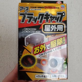 アースセイヤク(アース製薬)のアース ブラックキャップ 屋外用 8個入(日用品/生活雑貨)