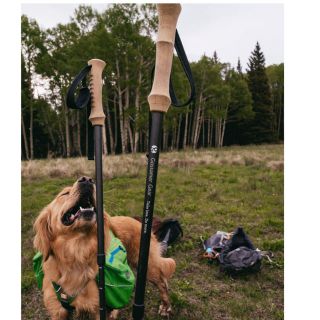 LEKI - ゴッサマーギア LT5 スリーピースカーボントレッキングポールの
